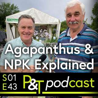 Agapanthus Expert, What does NPK Mean on Plant Food Plus Apple Pruning Question