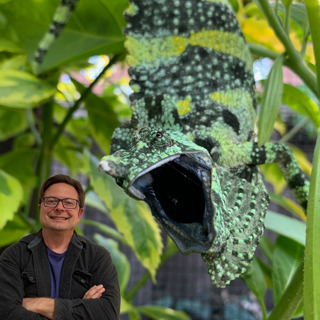 Chameleon Feelings
