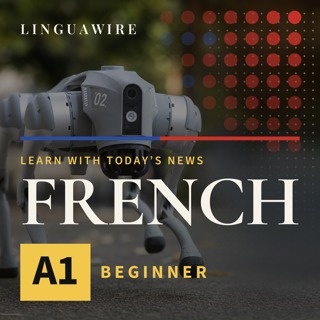 A1 French News | Why a $4,000 Robot Dog Turns Heads