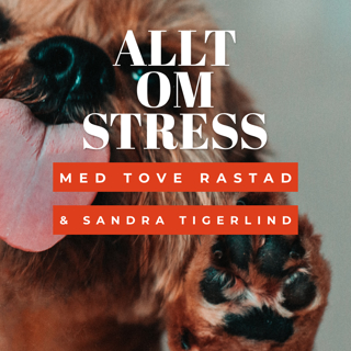 Allt om stress - Med Sandra och Tove