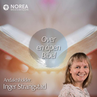 E2610 -1-Inger Strangstad - En Gud som ser (Hagar)