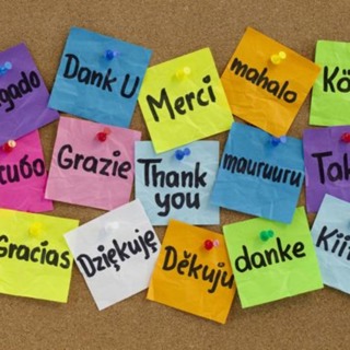 The Power of Gratitude - IMM002