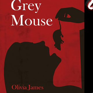 GUEST - Chatting with Author Olivia James