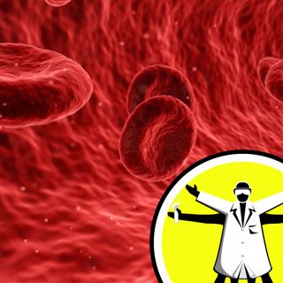 Blood Under a Microscope