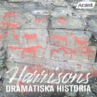 Den svenska stenåldern