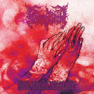 ALBUM REVIEW: Ghost Bath - Rose Thorn Necklace