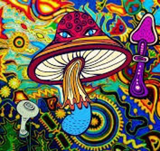 Podcast # 496: Hallucinogens