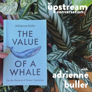 The Value of a Whale with Adrienne Buller