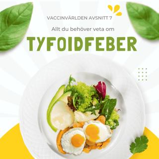 Tyfoidfeber
