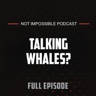 S2 Ep6: Can Whales Help Us Talk to Aliens? with the SETI Team