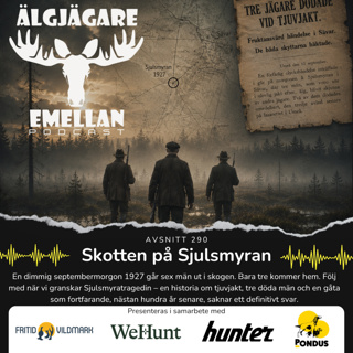 290. Skotten på Sjulsmyran