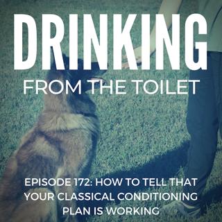 #172: How to Tell That Your Classical Conditioning Plan is Working
