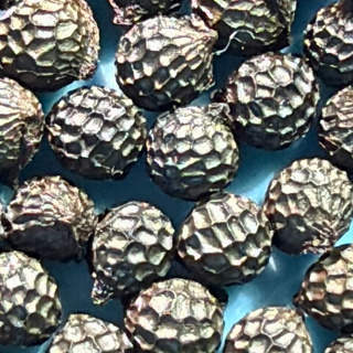 Seeds with Cheryl Birker