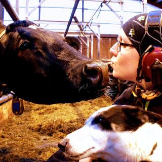 Mjölkbonden Malin: "Vi har snaran runt halsen"