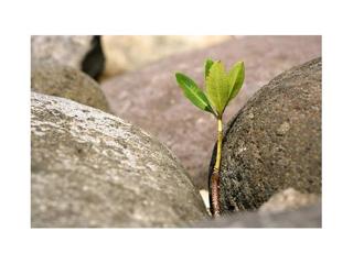 Astrology and Energies from March 14 to March 22