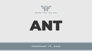 ANT