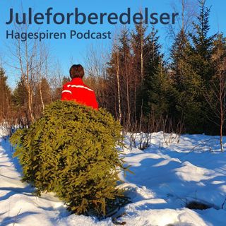 36/22: Juleforberedelser