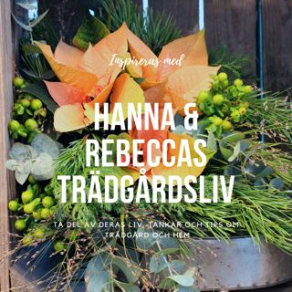 Avsnitt 98 – Julblommor & vintersådd