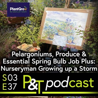 Essential Spring Bulb Job, Pelargoniums, Produce and the Young Nurseryman who is Growing up a Storm!