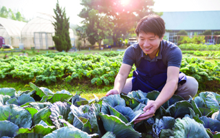 Audio Article: Seek Out Small Farms