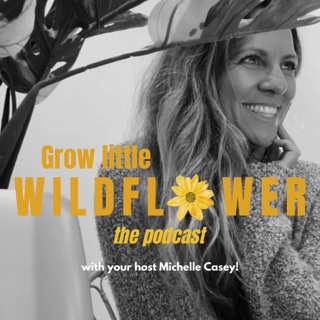 We are back Wildflowers!!