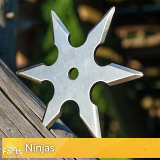 Fun Facts About Ninjas