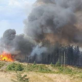 Wildfire Fuels and Explosives, UK Fertility Rates Drop, France Delays Maritime Legislation, Colchester Summer Series Excites, and more...