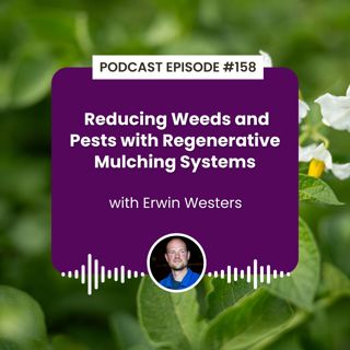 Episode 158: Reducing Weeds and Pests with Regenerative Mulching Systems with Erwin Westers