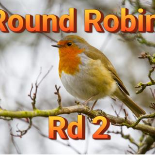 Episode 83: Round Robin Round 2: The European Robin (Erithacus rubecula)