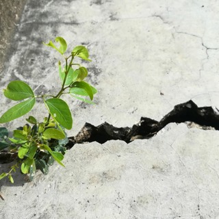 Resilienssi