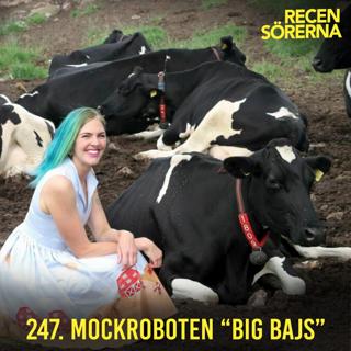247. Mockroboten Big Bajs