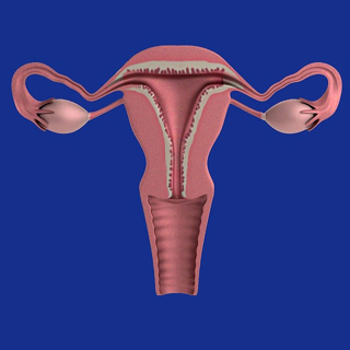 Episode 690: Not in My Back Uterus