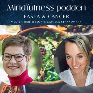 Fasta & cancer – samtal med Siv Bertilsson (45 min)