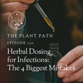 Herbal Dosing for Infections: The 4 Biggest Mistakes