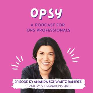 Working Strategically with Amanda Schwartz Ramirez