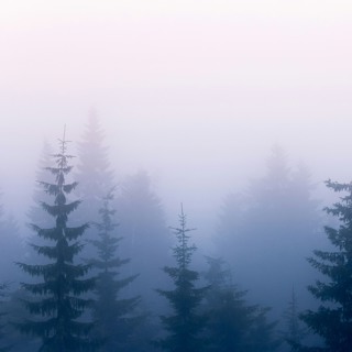 20240730 - Wide Attention On Breathing