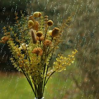 đŽđ§ïžđ”Soft MUSIC and Torrential RAIN: A Soothing Duo for Deep SLEEP