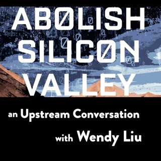 Abolishing Silicon Valley with Wendy Liu
