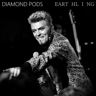 Diamond Pods- Earthling