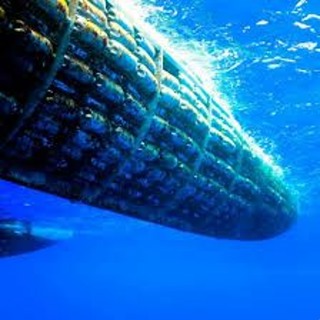 The Plastiki Expedition