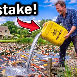 Neighbor Dumped Poison in My Pond.. then discovered My Fish were Worth $200,000!