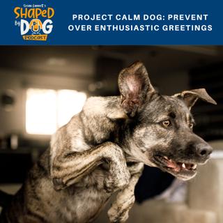 Project Calm Dog: Prevent Over Enthusiastic Greetings #109