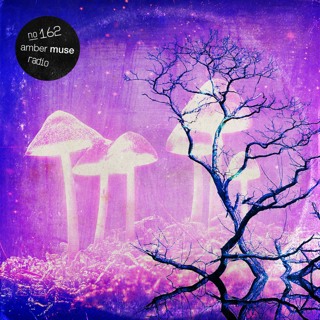Amber Muse Radio Show #162 with Taran & Lomov // 06 Dec 2019