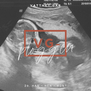 432. VG-ploggen "Han, hon hen? Vem är det därinne?" - repris