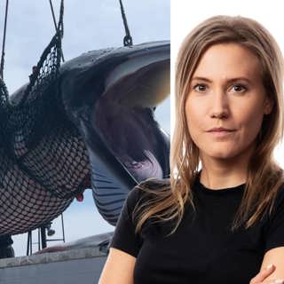 Du måste smaka valkött, säger de: Caroline Kernen, Stockholm