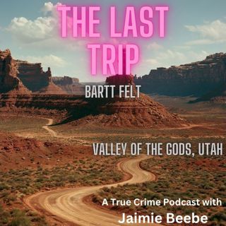 146: Bartt Felt: Valley of the Gods, Utah