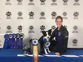 190: One Million Downloads Plus AKC Nationals Wrap-Up