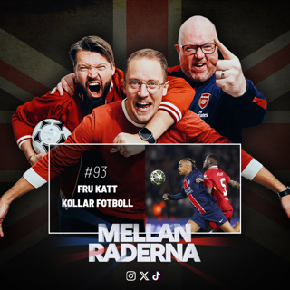 Fru katt kollar fotboll