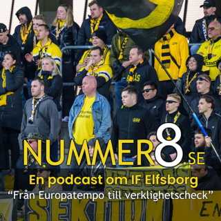 “Från Europatempo till verklighetscheck”