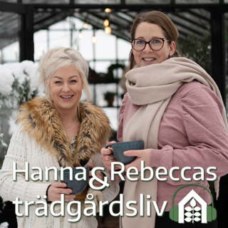 Avsnitt 74 – Frågestund och "mys-måsten"